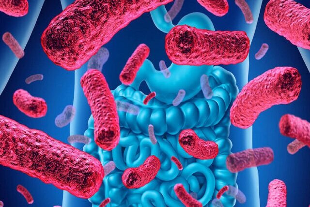 نقش باکتریهای روده نوزاد در ابتلا به «دیابت نوع یک» نقش باکتریهای روده نوزاد در ابتلا به «دیابت نوع یک»