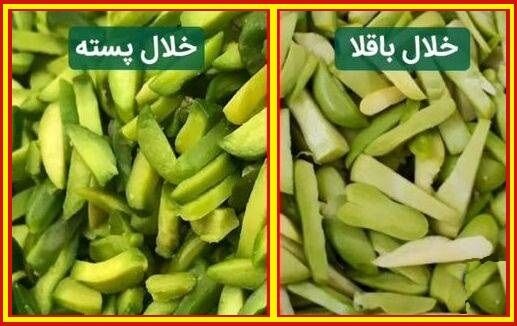 خلال باقلا را بجای خلال پسته نخرید! خلال باقلا را بجای خلال پسته نخرید!