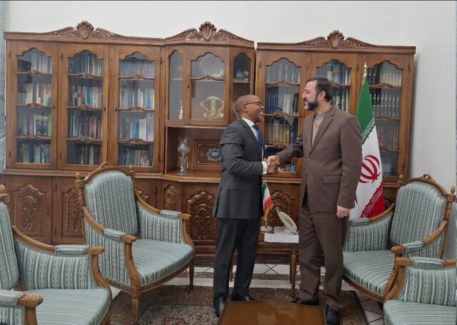 رایزنی غریبآبادی با سفرای آفریقای جنوبی، نروژ و دانمارک در تهران رایزنی غریبآبادی با سفرای آفریقای جنوبی، نروژ و دانمارک در تهران