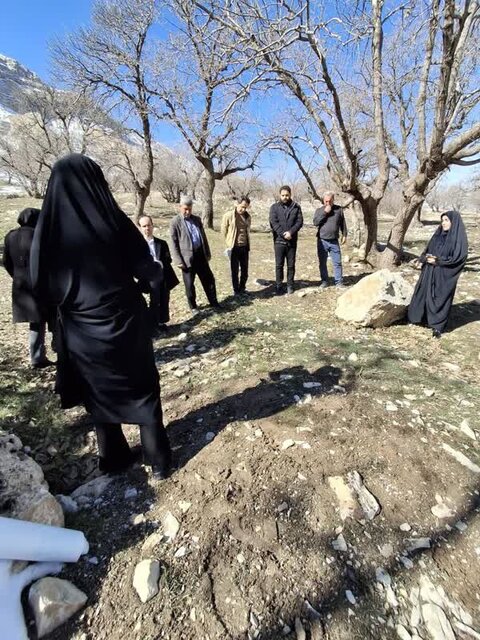 آیا آگروفارستی منجی جنگلهای ایلام میشود؟