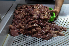 یک هزار و ۱۵۰ تن پا و پنجه مرغ، ۲۳ تن دنبه گوسفندی، دو هزار و ۵۶۴ تن تخم مرغ و ۳۴۵ تن محصولات لبنی از استان در سال جاری اشاره کرد.