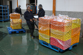 خوشبختانه رعایت بهداشت در کشتارگاههای استان به خوبی انجام و نکات مرتبط بهداشتی و شرعی در این رابطه با دقت رصد میشود.