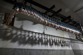 استان یزد از تعداد پنج کشتارگاه صنعتی مرغ و پنج کشتارگاه صنعتی بلدرچین در نقاط مختلف استان برخوردار است که چهار مورد از این کشتارگاهها در شهرستان اشکذر و یک مورد نیز در شهرستان میبد واقع شده است.