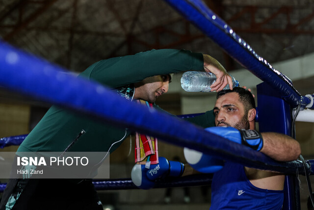 عکس تزئینی است. عقبگرد بوکس یا تغییر مسیر؟/ از کوبا تا تهران برای هیچ!