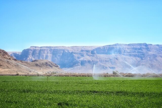 استفاده غیراقتصادی از آب، مانع توسعه کشاورزی و افزایش تولیدات غذایی است استفاده غیراقتصادی از آب، مانع توسعه کشاورزی و افزایش تولیدات غذایی است