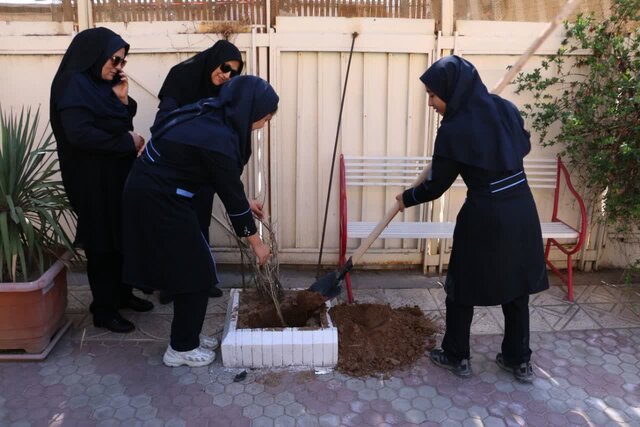 غرس چند اصله نهال به یاد دانشآموزان جانباخته فرزانگان کرمان  غرس چند اصله نهال به یاد دانشآموزان جانباخته فرزانگان کرمان