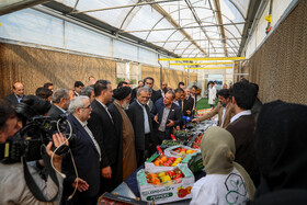 بازدید مسعود پزشکیان، رئیس‌جمهور از گلخانه مکانیزه ورامین در سفر یک‌روزه به جنوب شرق استان تهران