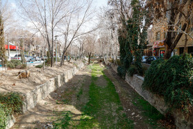 مادی نیاصرم که به دلیل کم آبی به مرور خشک شده است در محله لنبان در اصفهان