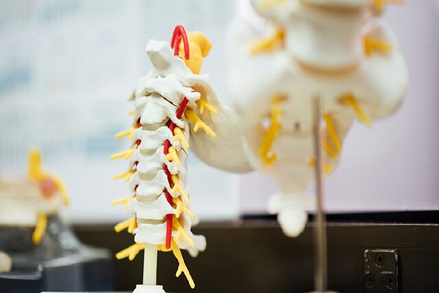 امکان ترمیم اعصاب نخاع با تزریق ژل نانویی امکان ترمیم اعصاب نخاع با تزریق ژل نانویی