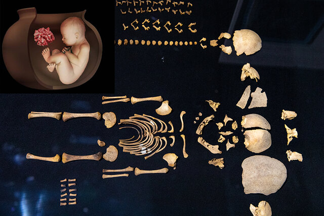 ویدیو/ از کشف خاص اسکلت ۷۰۰۰ ساله تا دندان ۱۸۰ هزار ساله ویدیو/ از کشف خاص اسکلت ۷۰۰۰ ساله تا دندان ۱۸۰ هزار ساله