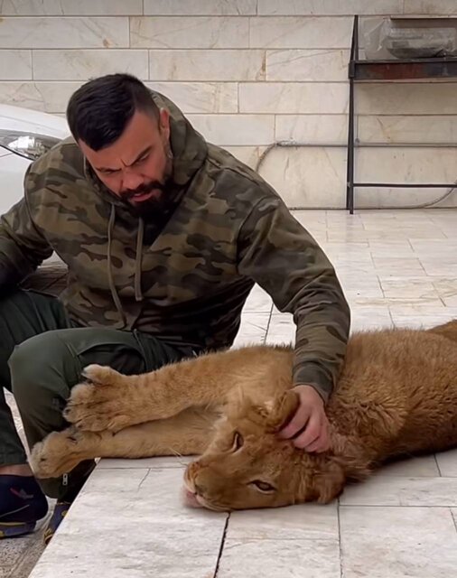 تکرار اقدام مجرمانه امیرعلیاکبری/ تخلفات جدید این ورزشکار به پرونده قضایی او اضافه شد