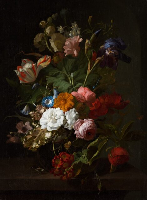 گلهای خیرهکننده را تماشا کنید