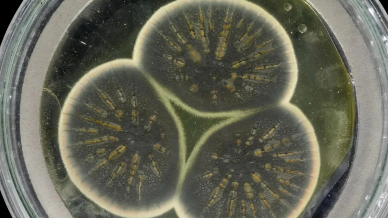 ۱۰ کشف بزرگ علمی که جهان را برای همیشه تغییر داد