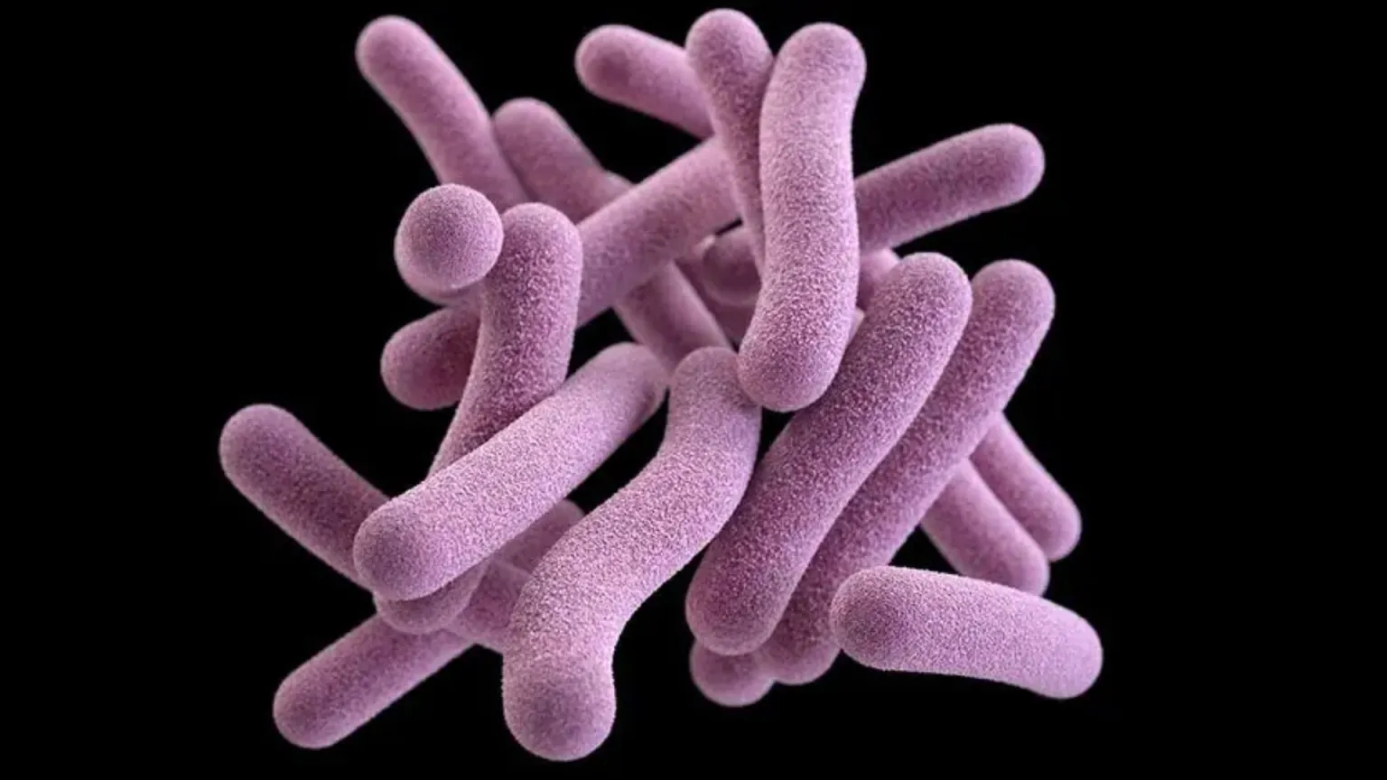 ۱۰ کشف بزرگ علمی که جهان را برای همیشه تغییر داد