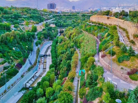 آبیاری مکانیزه ۷۰ درصد درختان تهران/ پایان انتقال لوله از تصفیه‌خانه‌ها برای آبیاری با پساب