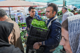 بازار گل مشهد؛ در آستانه‌ی نوروز