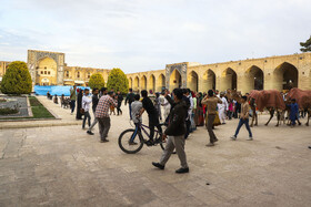 مراسم آغاز رالی راه ادویه در کرمان