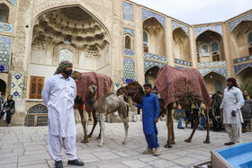 مراسم آغاز رالی راه ادویه در کرمان