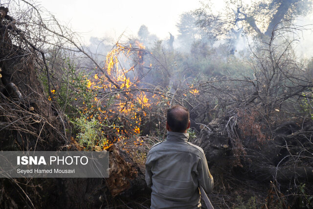 عکس تزئینی است اطفای کامل حریق گسترده در یک باغ در شیراز