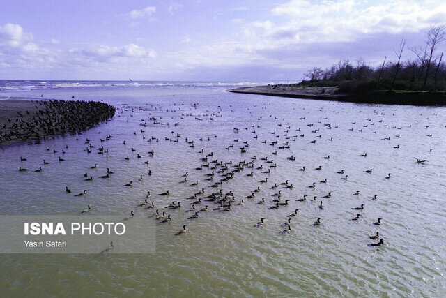 سیزده فروردین روز آشتی با طبیعت یا زخم زدن بر محیط زیست؟!