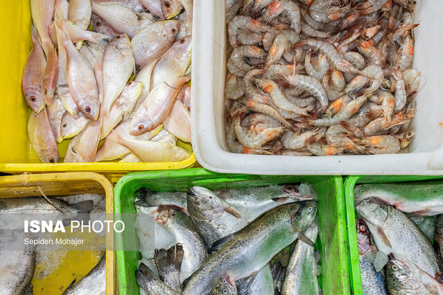 عکس از آرشیو صید در منابع آبی حوضه کارون ساماندهی میشود