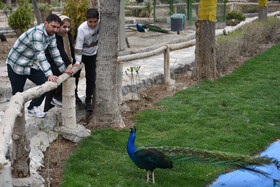 باغ پرندگان اصفهان و میزبانی از مسافران نوروزی