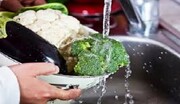 میزان مصرف سبزی سه مرتبه در هفته در خراسان شمالی فقط ۴.۸ درصد است