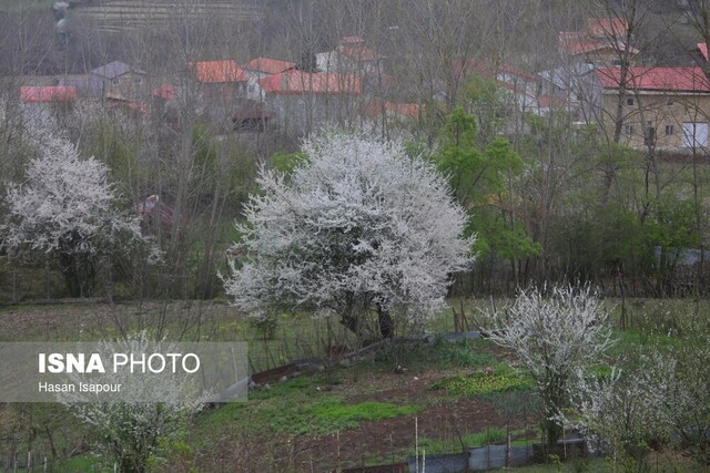 تبریک نوروزی دانشجویان ارمنستانی + ویدئو