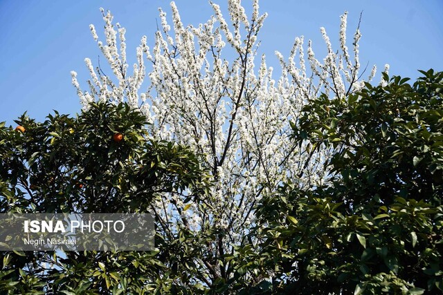 تأکید رئیس منابع طبیعی بروجرد بر نقش فرهنگیان در نهادینه‌سازی فرهنگ حفاظت از طبیعت