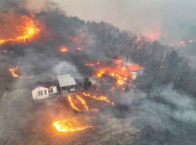 عکس: رویترز گسترش آتشسوزیهای جنگلی در کره جنوبی