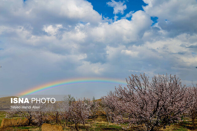 عکس تزئینی ست تداوم خنکتر شدن هوا در استان سمنان/ ادامه بارندگیها در نواحی شمالی استان