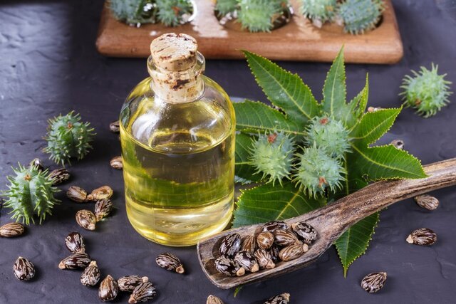 روشی نوین برای تولید دیزل زیستی از روغن کرچک روشی نوین برای تولید دیزل زیستی از روغن کرچک