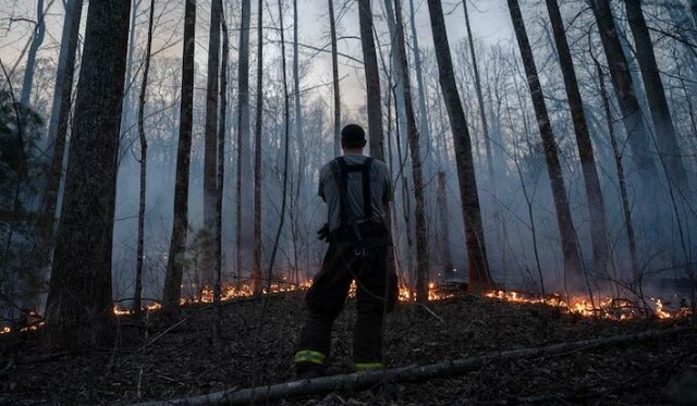 عکس: گتی ایمجز آتش سوزی جنگلی در «کارولینای شمالی» آمریکا؛ ۱۱ خانه تخریب شد