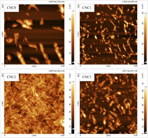 افزایش مقاومت زیستی چوب صنوبر با نانوالیاف کریستال افزایش مقاومت زیستی چوب صنوبر با نانوالیاف کریستال