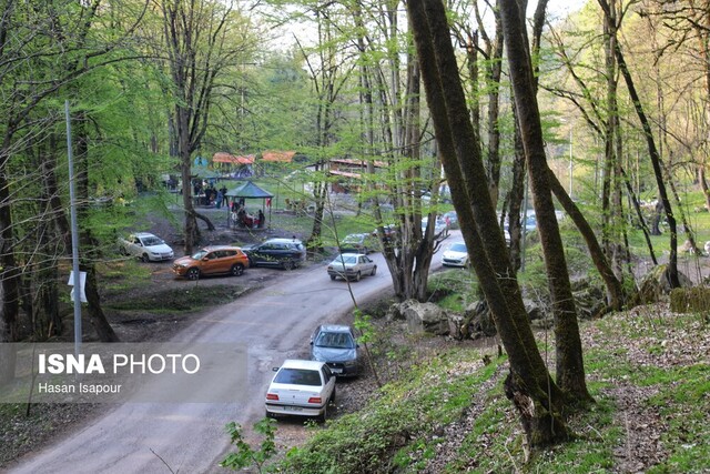 برنامه منابع طبیعی مازندران؛ از توسعه پارک‌های جنگلی تا برخورد با ساخت‌وسازهای غیرمجاز