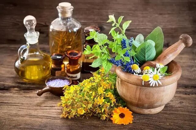 کشت گیاهان دارویی در ایران؛ افقهای نوین یا موانع سرسخت؟ کشت گیاهان دارویی در ایران؛ افقهای نوین یا موانع سرسخت؟