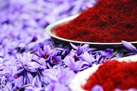 کارآفرینی با عطر زعفران