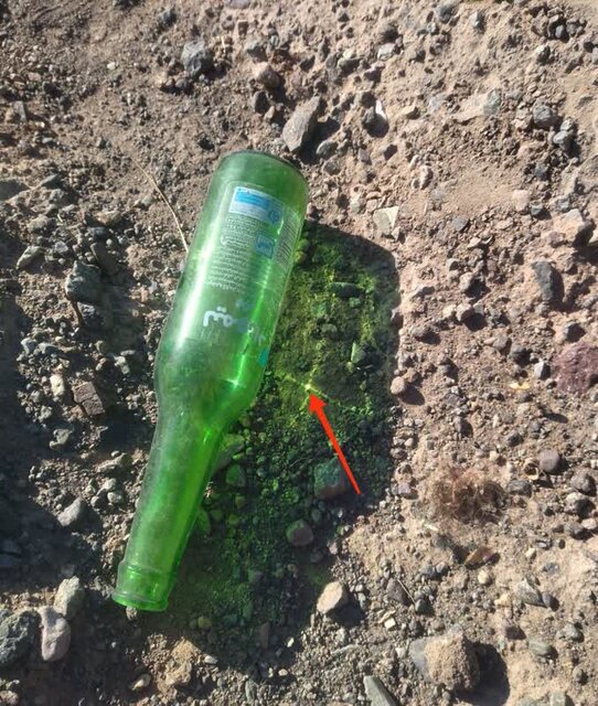 حفظ جنگلها و مراتع، وظیفه همگانی است