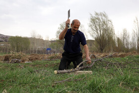 روز طبیعت در شهرستان اهر