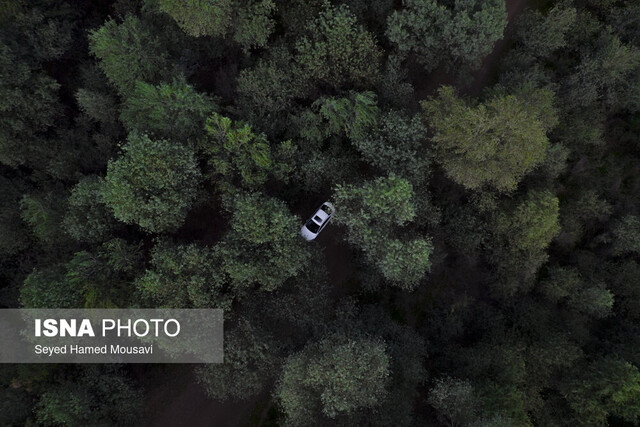 پارک ملی کرخه اعلام محورهای جشنواره ملی قصهگویی محیط زیست در خوزستان