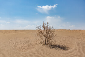کویر رضا آباد - شاهرود