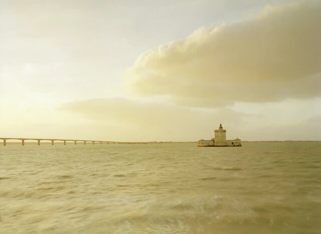 تماشا کنید/ عکسهایی شبیه به نقاشی