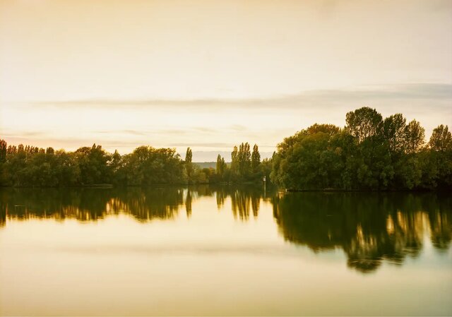 تماشا کنید/ عکسهایی شبیه به نقاشی