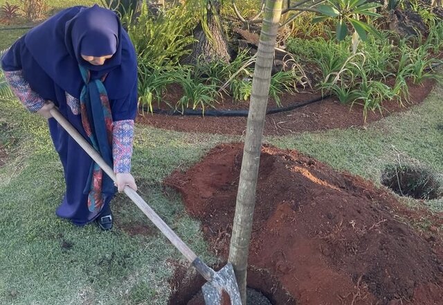 بسته خبری ایسنا از اخبار دولت در ۲۴ ساعت گذشته