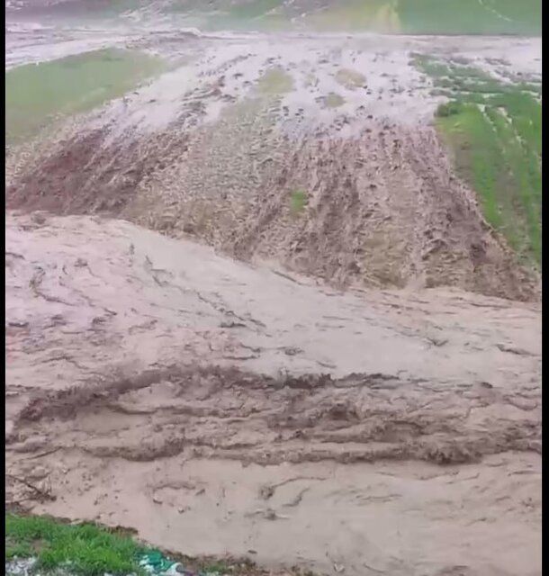 عکس آرشیوی است تلف شدن ۵۰ رأس دام در پی سیل در روستاهای آذربایجان شرقی
