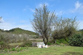 زباله هدیه مسافران نوروزی به استان گیلان