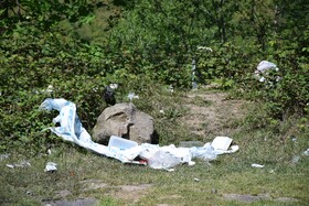 زباله هدیه مسافران نوروزی به استان گیلان