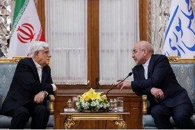 تاکید عارف بر همکاری دولت و مجلس برای عملیاتی کردن شعار سال
