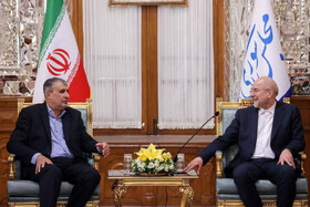 دیدار نوروزی معاون رییس‌جمهور با رییس مجلس شورای اسلامی