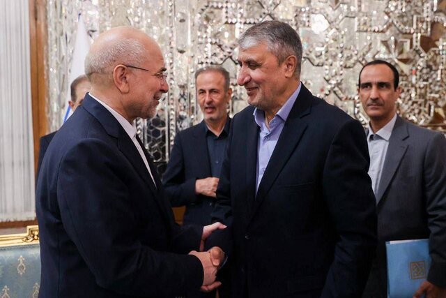 دیدار نوروزی معاون رییسجمهور با رییس مجلس شورای اسلامی دیدار نوروزی معاون رییسجمهور با رییس مجلس شورای اسلامی